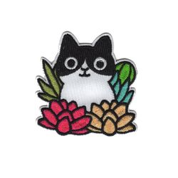 Katt bland blommor