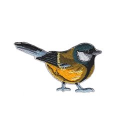 Great Tit / Talgoxe
