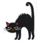 Svart katt