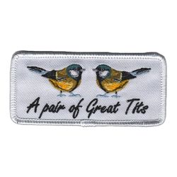 A pair of great tits / Ett par Talgoxar