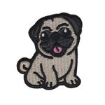 Pug - Hund