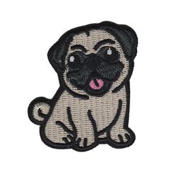 Pug - Hund
