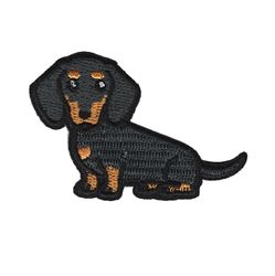 Tax - Sittande - Hund