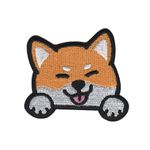 Shiba Inu - Hund