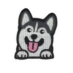 Husky - Hund