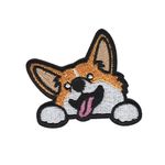 Corgi - Hund