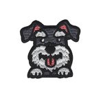 Schnauzer - Hund