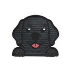 Labrador - Svart - Hund