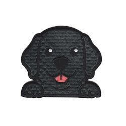 Labrador - Svart - Hund
