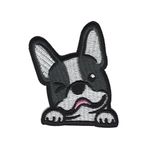 Fransk bulldog - Hund