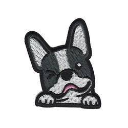 Fransk bulldog - Hund