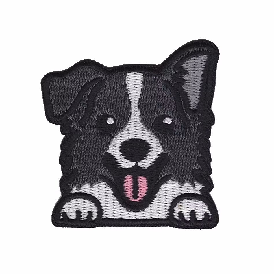 Border collie - Hund