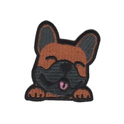 Fransk Bulldog - Hund