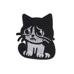 Sad cat