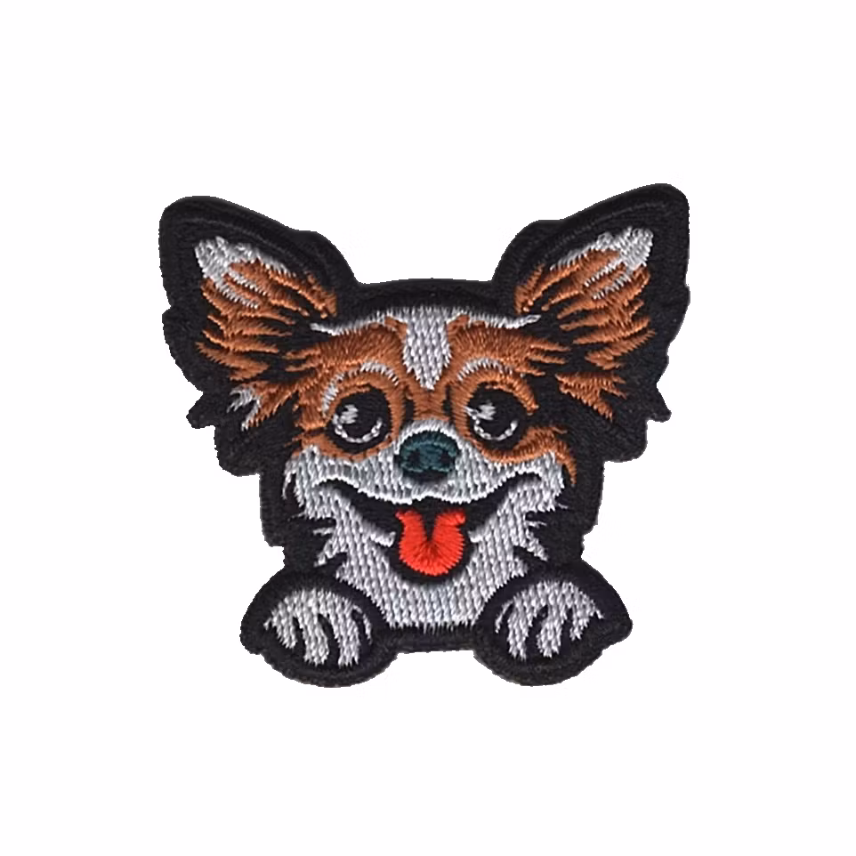 Chihuahua - Hund