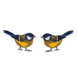Eurasian blue tit / Blåmes