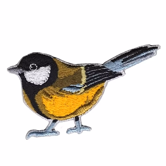 Great tit / Talgoxe