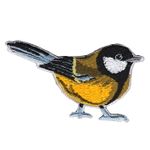 Great tit / Talgoxe