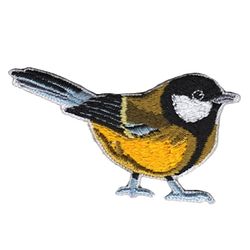 Great tit / Talgoxe