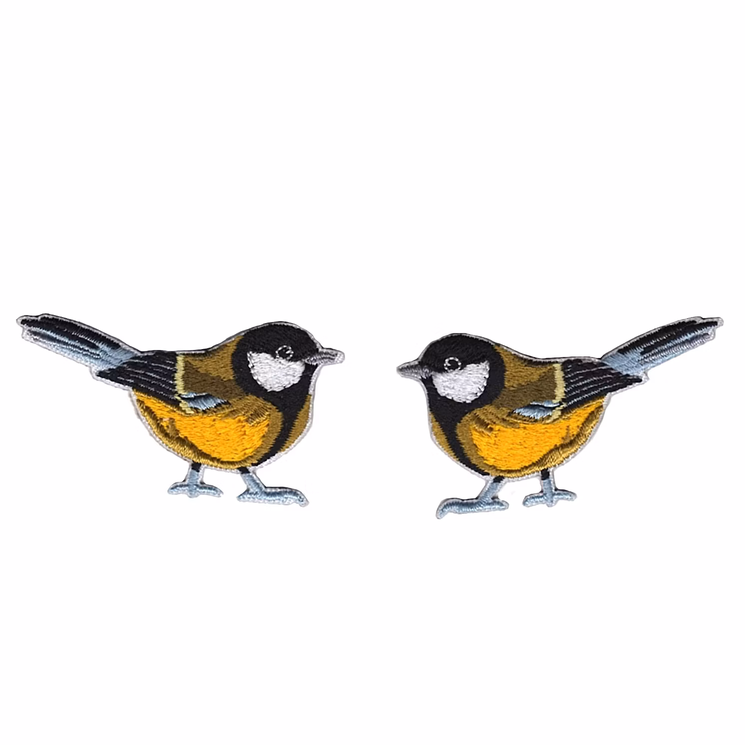 Great tit / Talgoxe