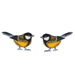 Great tit / Talgoxe