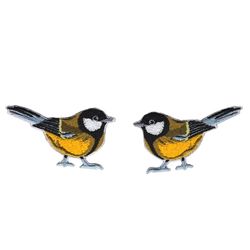 Great tit / Talgoxe