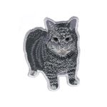 OIIA O I I A - Spinning Cat Meme