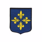 Enköping kommunvapen