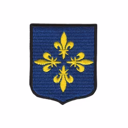 Enköping kommunvapen