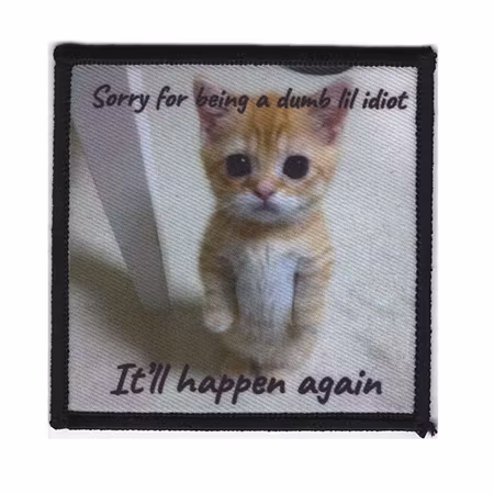 Sorry for being a dumb lil idiot [Tillfälligt märke]