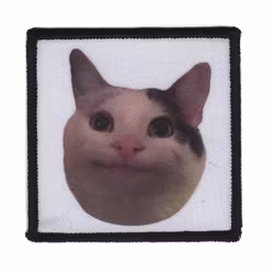 Beluga Smiling meme cat [Tillfälligt märke]