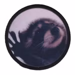 Pedro Pedro [Tillfälligt märke]