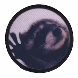 Pedro Pedro [Tillfälligt märke]