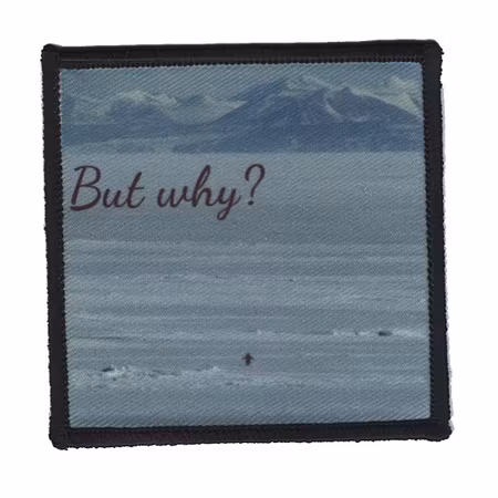 But Why? Penguin [Tillfälligt märke]