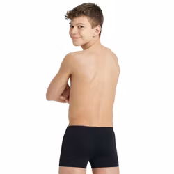 TS ARENA Badbyxor - pojk Team Swim Short Solid + LOGO