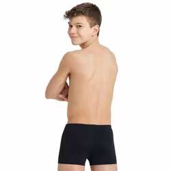TS ARENA Badbyxor - pojk Team Swim Short Solid + LOGO