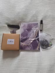 Intuitions kit 2