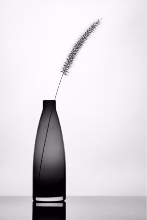 Minimalist
