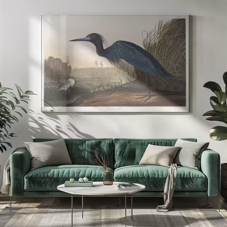 Blue Crane or Heron - Birds of America