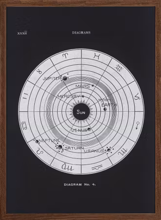 Solar Biology No.4 Black