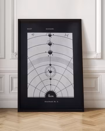Solar Biology No. 5 Black
