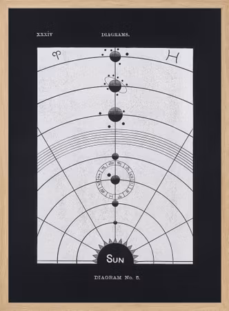 Solar Biology No. 5 Black