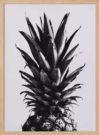 Pine Gray