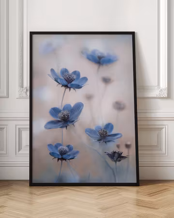 Cosmos blue