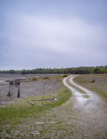 Strandvägen