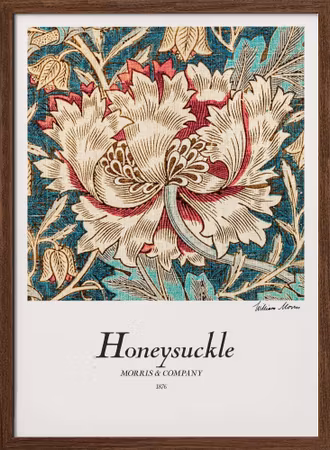 Honeysuckle