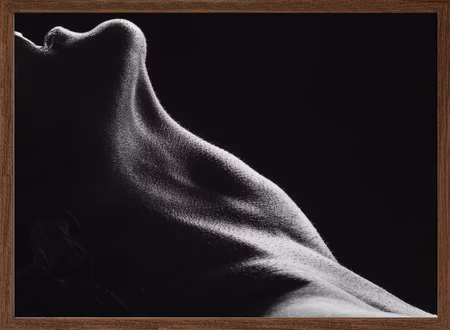 Bodies 13