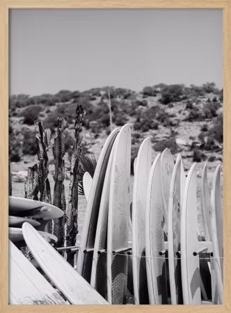 Surfboards in Black and White