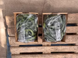 2 X 5 kg kasse