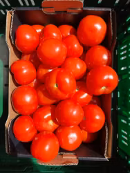 Tomat 3kg